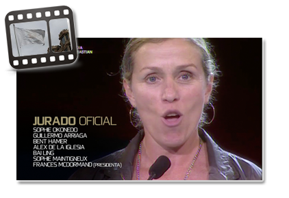 V&iacute;deo resumen