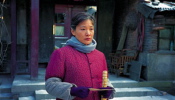 Xiang ri kui (Sunflower)