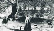 The Curse of the Cat People